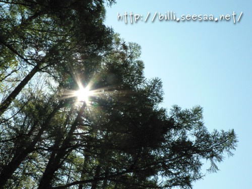 2012camp_vol3_1.JPG