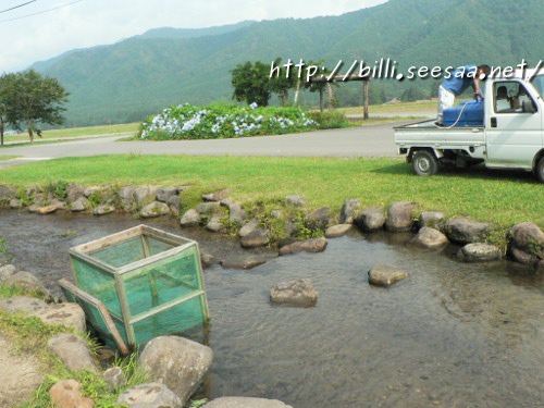 2012camp_vol8_12.JPG