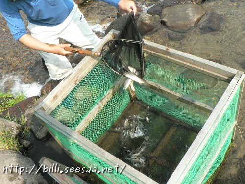 2012camp_vol8_13.JPG