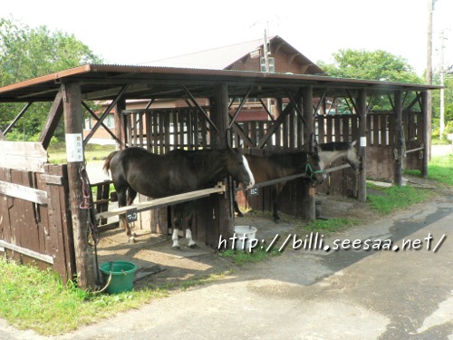 2012camp_vol8_16.JPG
