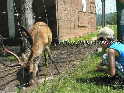 2012camp_vol8_2.JPG