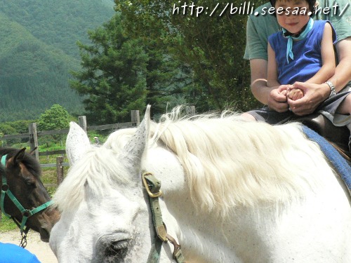 2012camp_vol8_20.JPG