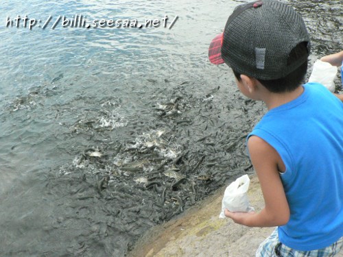 2012camp_vol9_11.JPG