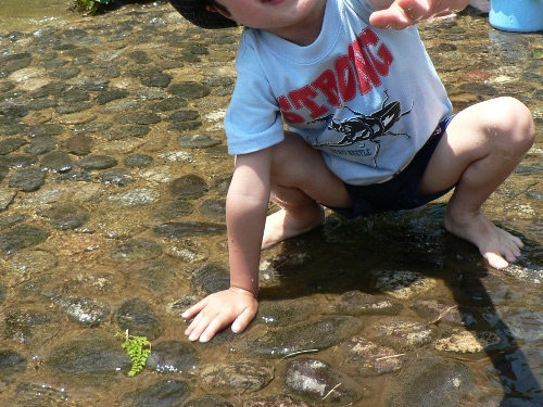camp_20110704_2.JPG