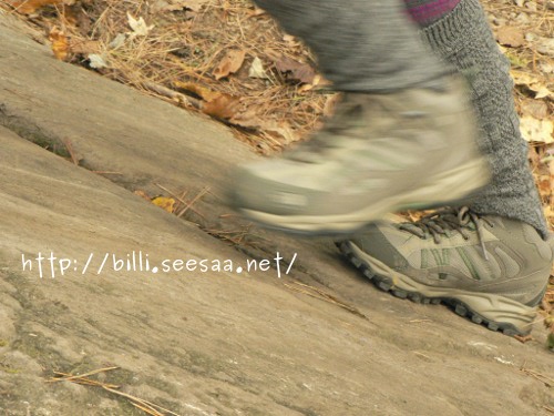 tozan_20111029_1.JPG